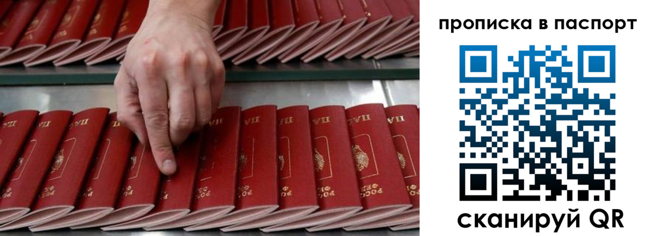 регистрация для школы в Биробиджане